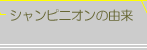 VsjI̗R
